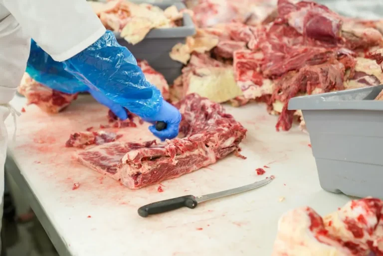 Processed Meat During Pregnancy: What to Know
