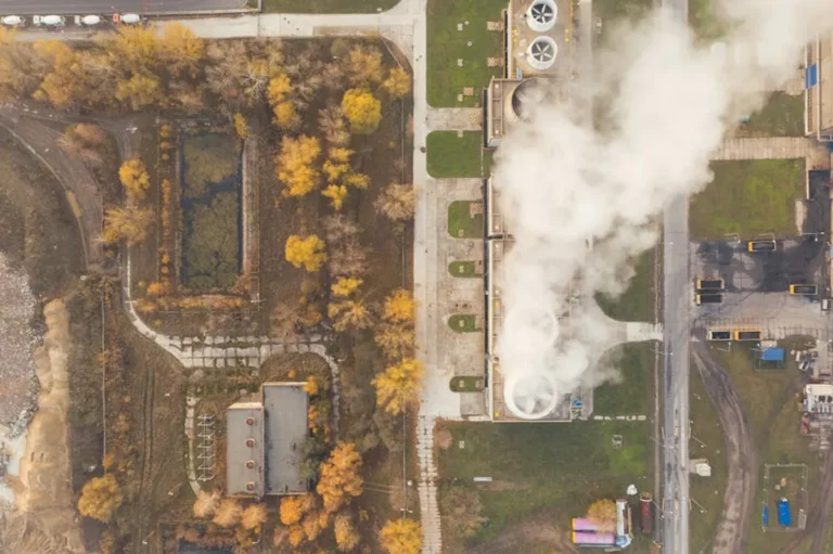 What Does Ammonia Smell Like and Why Does It Matter?