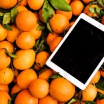 What nutrition and healthy living Publishers Can Learn From Search Interest in simplifydiggs.com