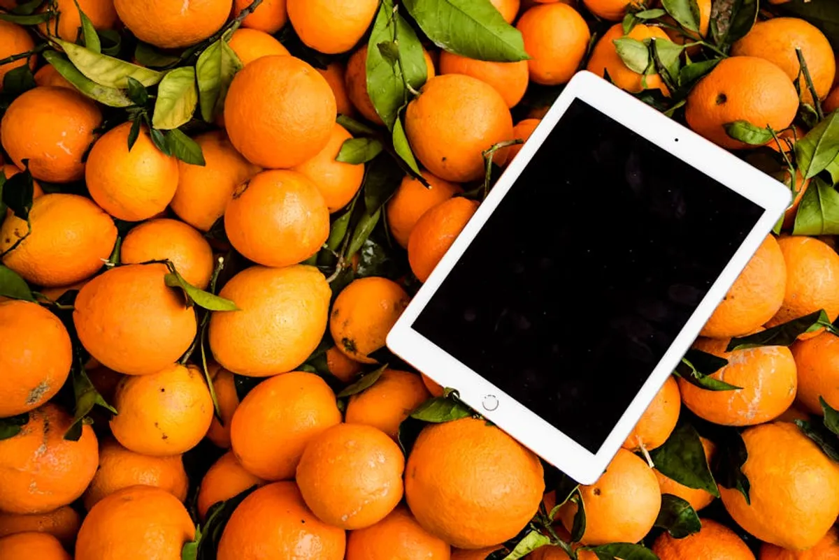 What nutrition and healthy living Publishers Can Learn From Search Interest in simplifydiggs.com